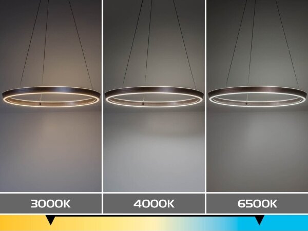 Rabalux 72402 - LED Stmívatelný lustr na lanku NEVIRA LED/70W/230V 3000-6500K+DO