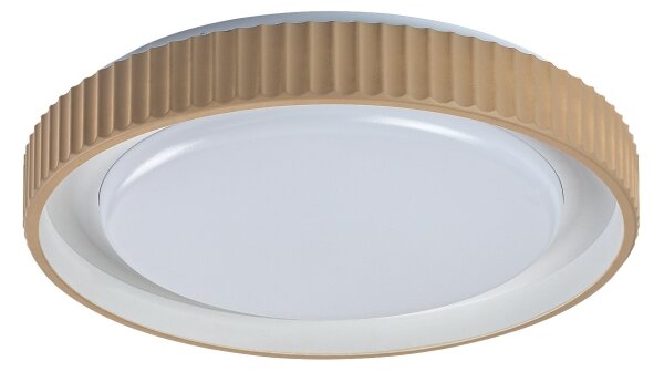 Rabalux 71345 - LED Stm stropní sv PASTELLO LED/48W/230V 3000-6500K pr.49,5cm+DO