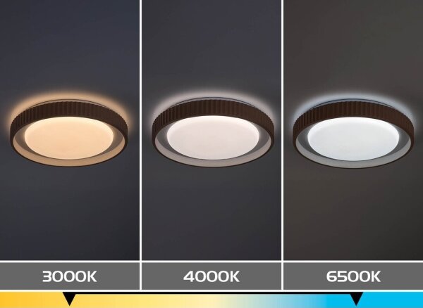 Rabalux 71345 - LED Stm stropní sv PASTELLO LED/48W/230V 3000-6500K pr.49,5cm+DO
