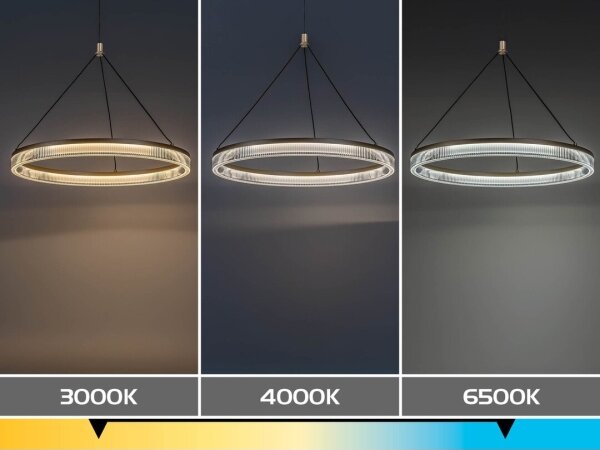 Rabalux 72471 - LED Stmívatelný lustr na lanku RIVONA LED/24W/230V 3000-6500K+DO