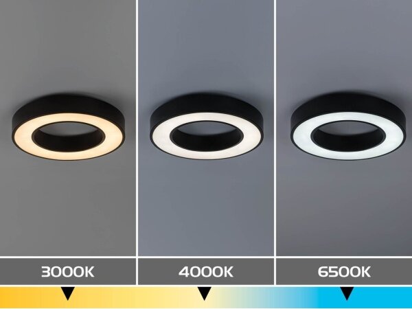Rabalux 71361-LED St stropní sv CIRANO LED/45W/230V 3000-6500K pr.60 cm černá+DO