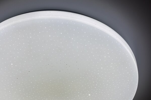 Rabalux 71444 - LED Stm stropní sv DANNY 2 LED/12W/230V 3000-6500K pr. 26 cm+DO