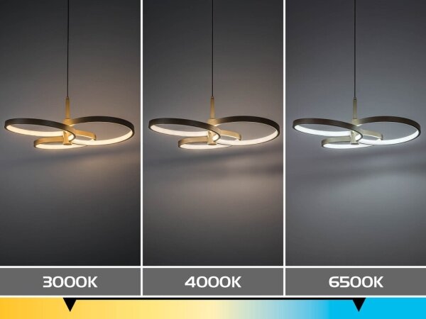 Rabalux 72400 - LED Stmívatelný lustr na lanku ISIDORA 50W/230V 3000-6500K+DO