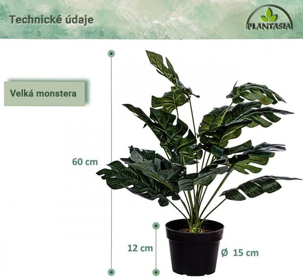 PLANTASIA Umělá rostlina monstera, 60 cm