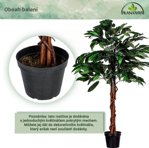 PLANTASIA Umělý strom mangovník, 120 cm