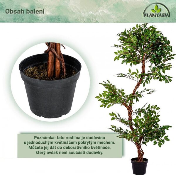 PLANTASIA Umělý strom jerlín, 160 cm