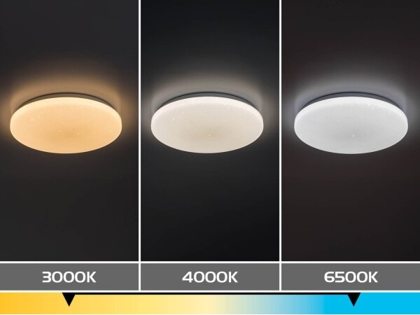 Rabalux 71444 - LED Stm stropní sv DANNY 2 LED/12W/230V 3000-6500K pr. 26 cm+DO