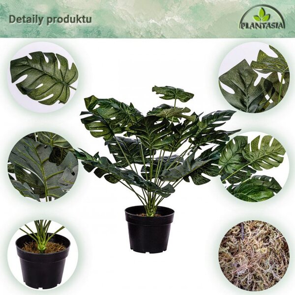 PLANTASIA Umělá rostlina monstera, 60 cm