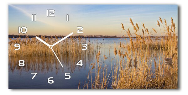 Skleněné hodiny na stěnu tiché Vodní rákos pl_zsp_60x30_f_102091943