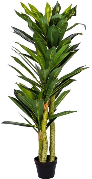 PLANTASIA Umělý strom Dracaena 120 cm, 81 listů