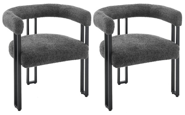 Jídelní židle - Židle do jídelny - Kuchyňské židle - 2 kusy - Moderní styl - Ergonomické - s opěradlem