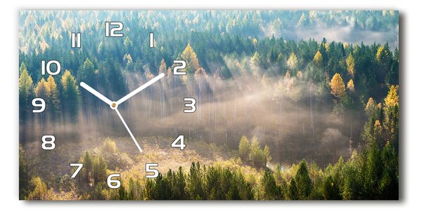 Skleněné hodiny na stěnu tiché Mlha v lese pl_zsp_60x30_f_104886541