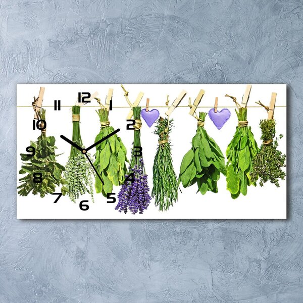 Skleněné hodiny na stěnu Bylinky pl_zsp_60x30_f_108800075