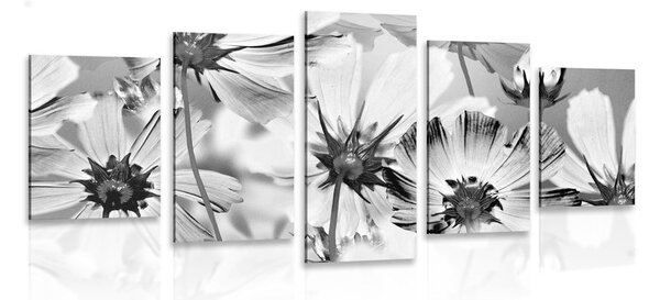 5-dílný obraz zahradní květiny v černobílém provedení