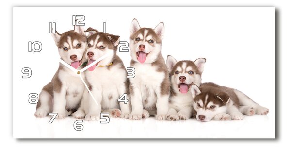 Skleněné hodiny na stěnu Štěně Husky pl_zsp_60x30_f_110309501