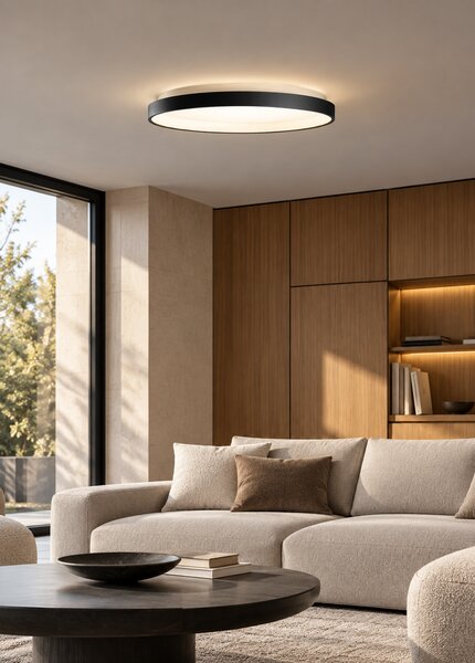 Palnas Stropní LED svítidlo DITA, černé, ø 58 cm Stmívání, řízení: ON/OFF (bez stmívání), Dálkový ovladač: Bez dálkového ovladače