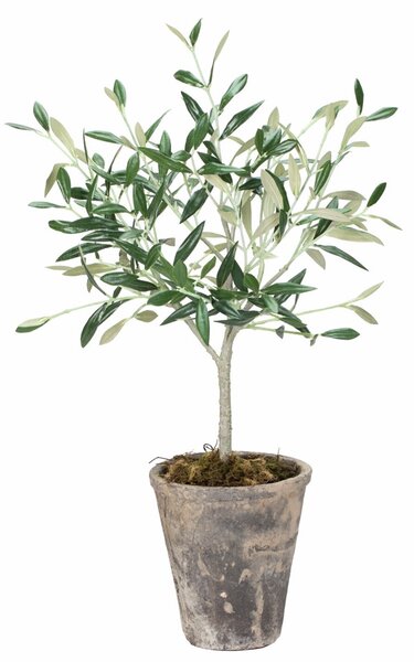 Lene Bjerre Dekorativní olivovník - 44 cm LB218
