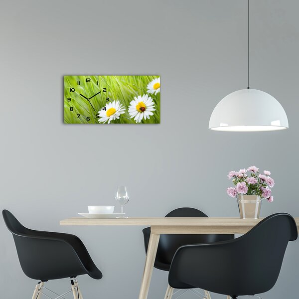 Moderní skleněné hodiny na stěnu Sedmikrásky pl_zsp_60x30_f_34475472