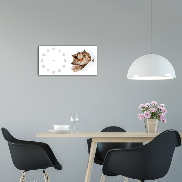Moderní skleněné hodiny na stěnu Kočka pl_zsp_60x30_f_35664648