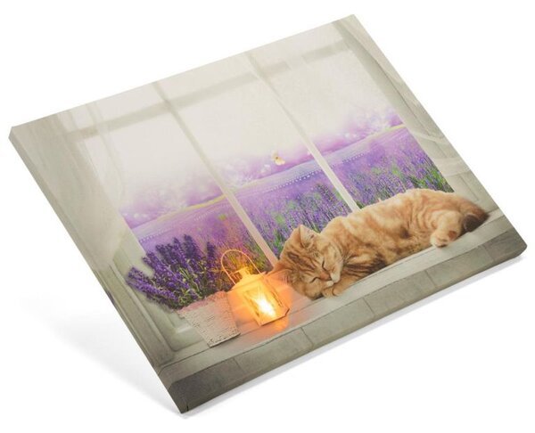 Nástěnná malba kočka na okně, 1 LED, 30 x 40 cm