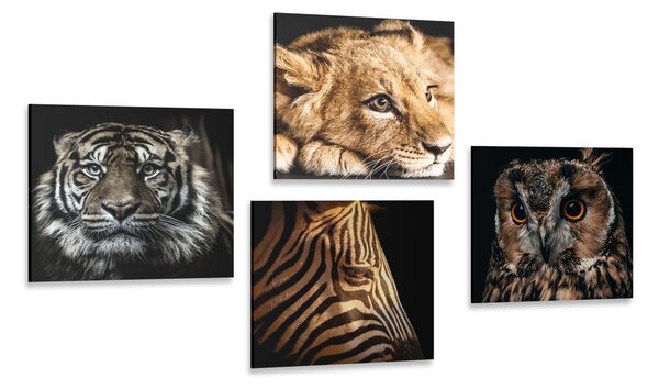 Set obrazů divoká zvířata