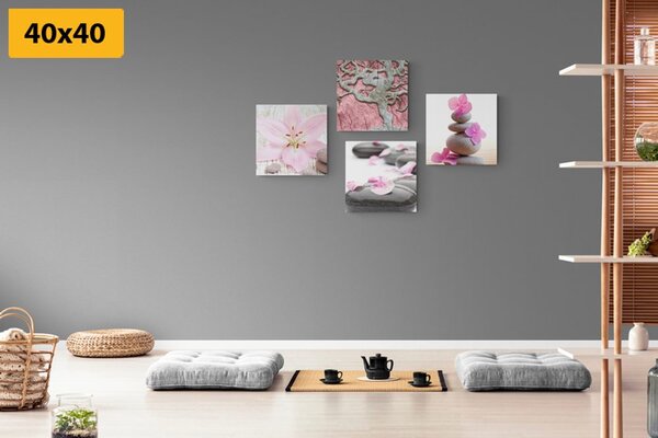 Set obrazů Feng Shui v jemném provedení