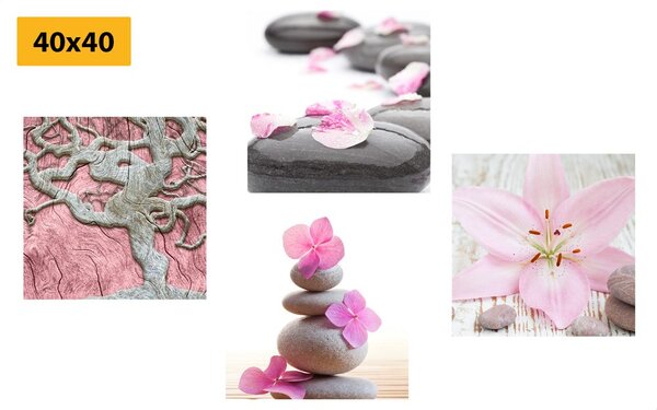 Set obrazů Feng Shui v jemném provedení
