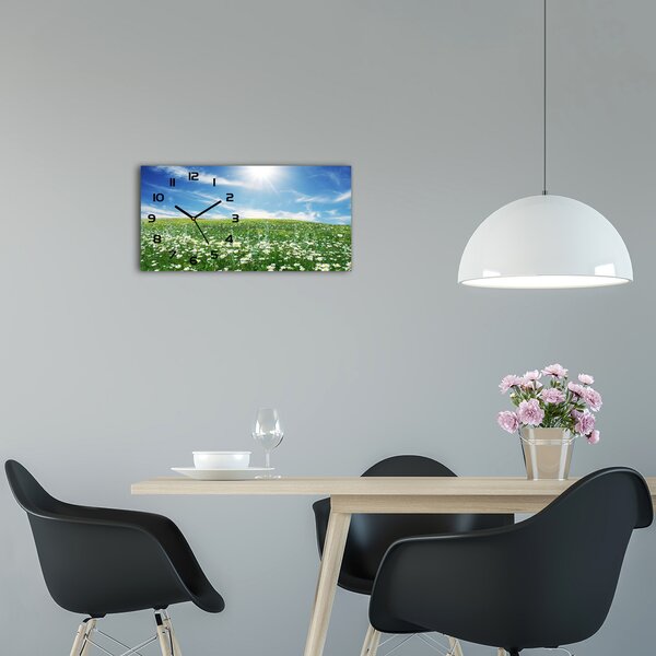 Moderní skleněné hodiny na stěnu Louka pl_zsp_60x30_f_6089070