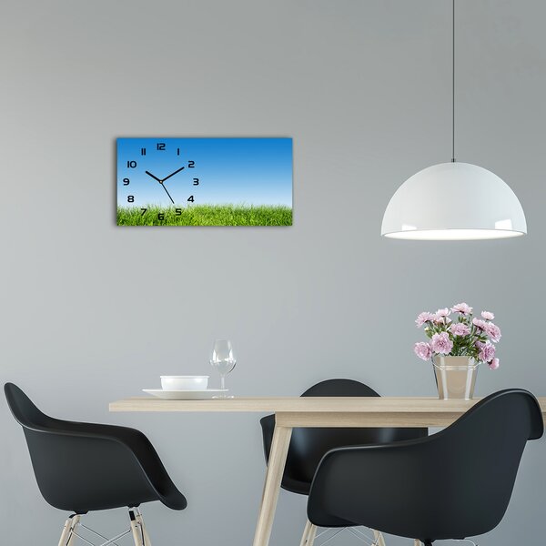 Moderní skleněné hodiny na stěnu Tráva pl_zsp_60x30_f_70389289