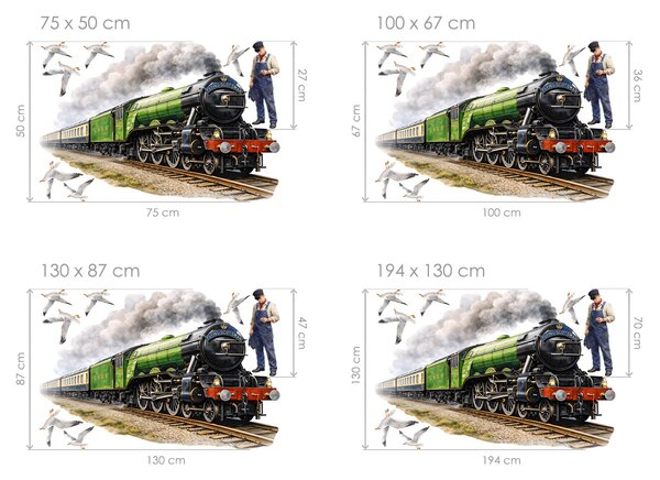 Vlak Flying scotsman textilní přelepitelné samolepky na zeď arch 75 x 50 cm