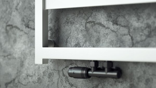 Regnis DEX, Topné těleso 300x730mm, 360W, černá matná, DEX70/30/BLACK