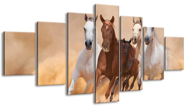Obraz na plátně Cválající koně - 7 dílný Rozměry: 210 x 100 cm
