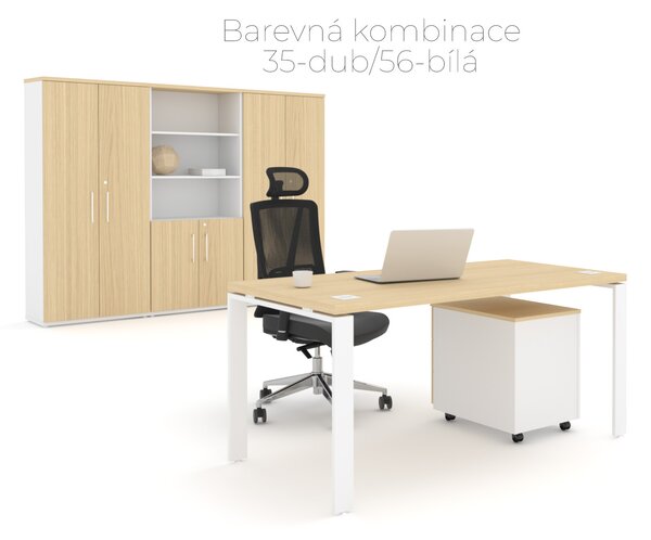 NABYTEK-DESIGNOVY.CZ - DE484DP - Skříň kancelářská EPIC, 4 police, posuvné dveře, výška 148,1cm, dub/černá