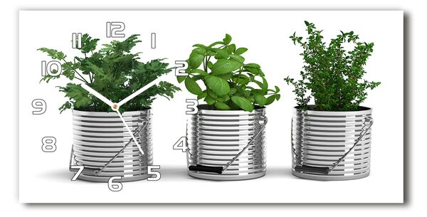 Skleněné hodiny na stěnu Aromatické rostliny pl_zsp_60x30_f_79250581
