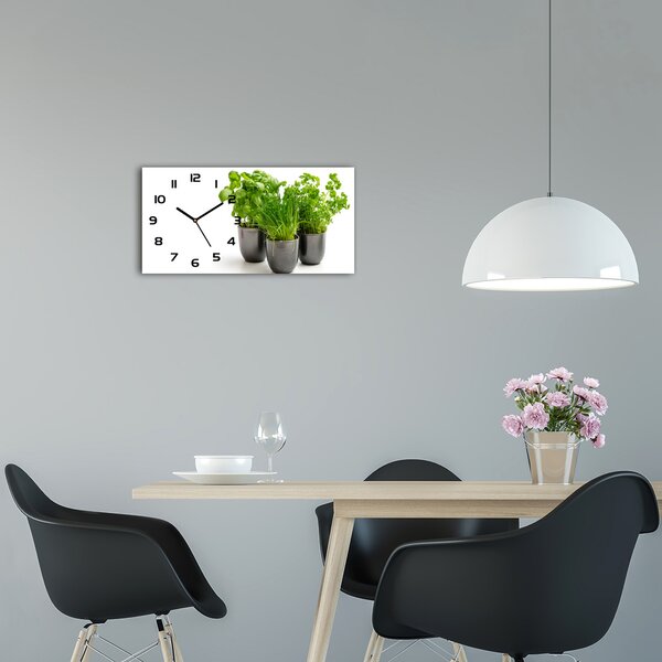 Skleněné hodiny na stěnu Bylinky v květináči pl_zsp_60x30_f_80278945