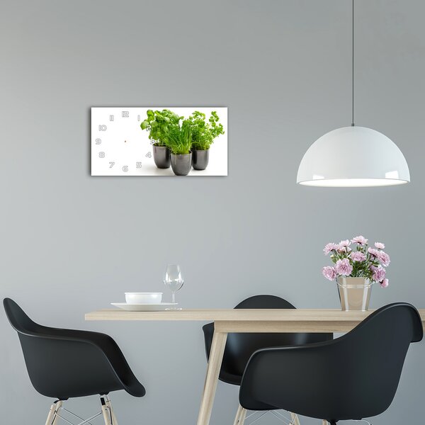 Skleněné hodiny na stěnu Bylinky v květináči pl_zsp_60x30_f_80278945