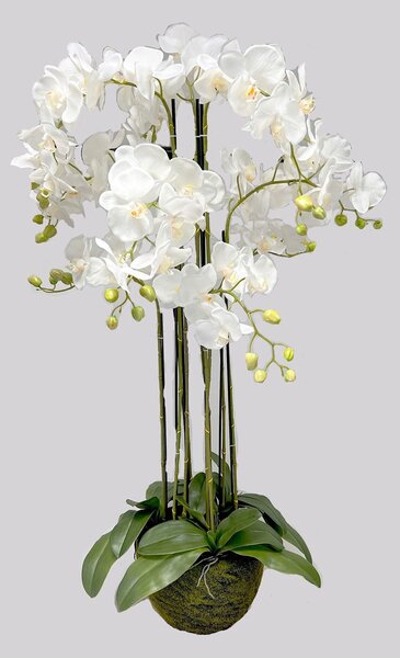 Orchidea v balu x9 125 cm