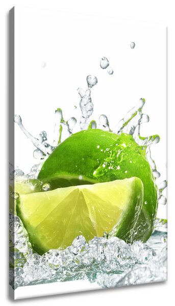 Obraz na plátně Zelená limetka Rozměry: 40 x 60 cm