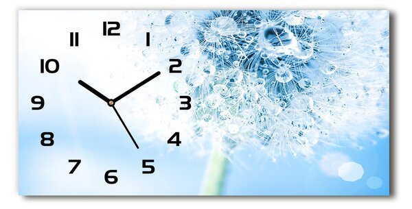 Moderní skleněné hodiny na stěnu Pampeliška pl_zsp_60x30_f_87595750