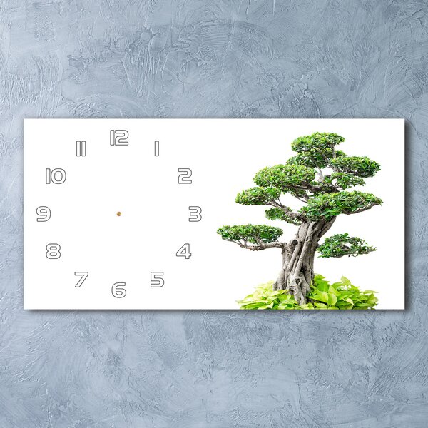 Skleněné hodiny na stěnu tiché Strom bonsai pl_zsp_60x30_f_88907159