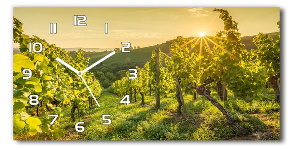 Moderní skleněné hodiny na stěnu Vinice pl_zsp_60x30_f_90317015