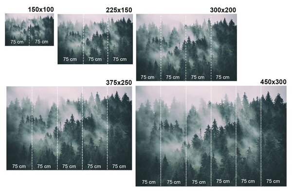 Fototapeta oslňující černobílá panorama Paříže