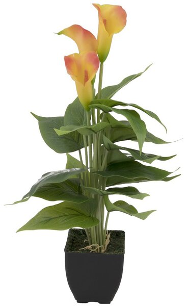 Umělá květina Kala žluto oranžová, 43cm