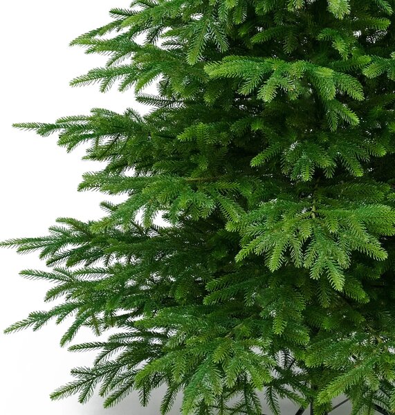 Smrk Beskydský 100% 3D- 160cm