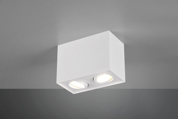 Trio 613000231 stropní bodové svítidlo Biscuit 2x35W|GU10