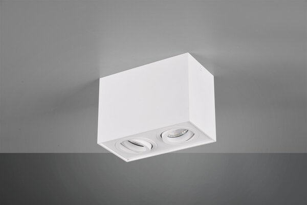 Trio 613000231 stropní bodové svítidlo Biscuit 2x35W|GU10