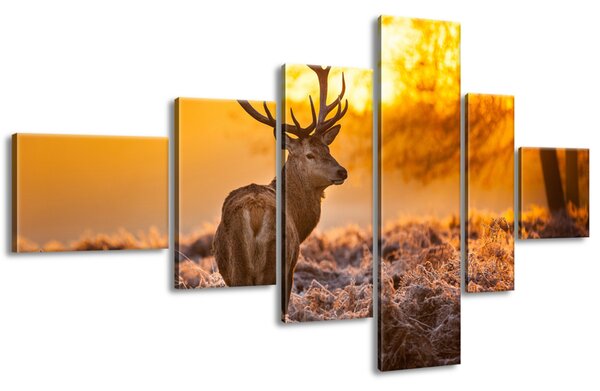 Obraz na plátně Silný jelen - 6 dílný Rozměry: 180 x 100 cm