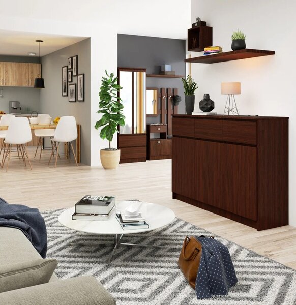 Komoda se šuplíky a dvířky SAVRILA - wenge