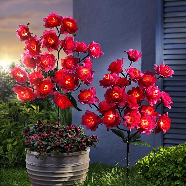 Weltbild LED Zahradní zápich Růžový keř, 2 ks