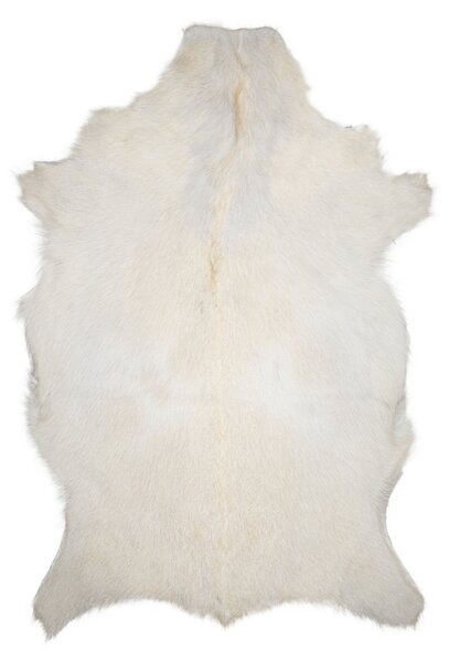 ARCTIC FUR Prémiová předložka z kozí kůže, bílá
